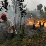 Kabut Asap Lintas Negara: Kebakaran Lahan di Riau Capai 140 Titik Api, Asap Terpantau hingga Malaysia