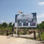 Taman Bonsai Karimun: Bangkitkan Tren Tanaman Hias Premium dari Pulau Terdepan Indonesia