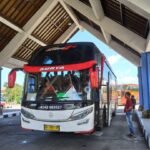 Jadwal dan Harga Tiket Bus AKAP Bali ke Jawa Minggu (24/8)