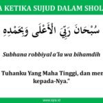 Bacaan Liturgi Senin 25 Agustus 2025, Pesta Santo Louis Lodevik IX, Pengakuan Iman