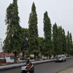 Prakiraan Cuaca 11 Kecamatan di Bengkulu Selatan Jumat 22 Agustus 2025,Cerah Berawan-Udara Kabur