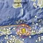 Gempa NTT Mengguncang, BMKG Ungkap Informasi Terbaru
