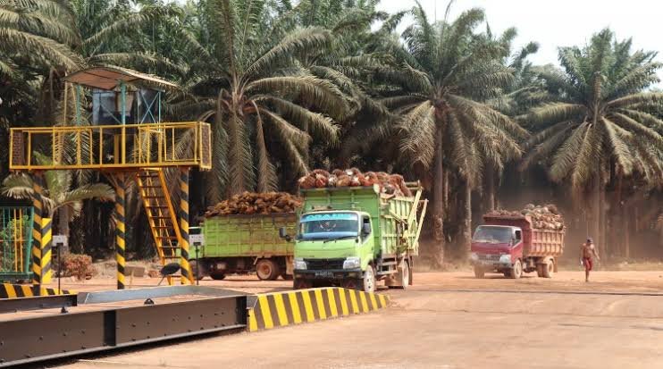 89038798197-images_12 MSM Parking Group Teken Kontrak Rp 4,4 Miliar untuk Digitalisasi Timbangan Perkebunan Kelapa Sawit di Kalimantan & Sumatera