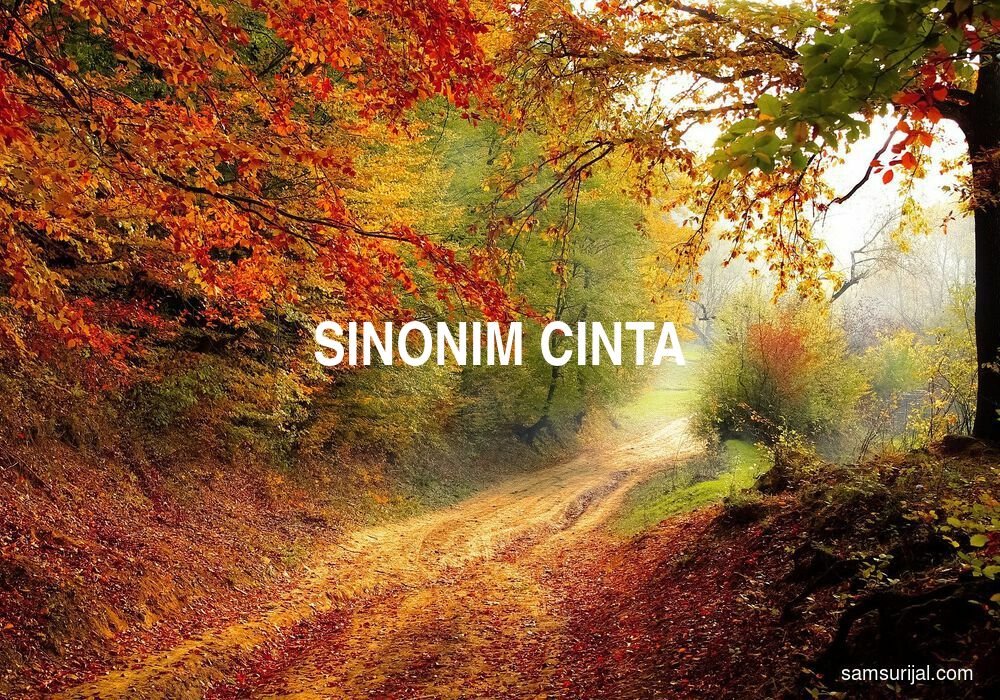 sinonim-cinta.jpg