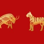 Prediksi Shio Kerbau dan Macan Tahun 2026: Finansial, Karir, Kesehatan, dan Cinta