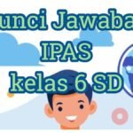 Kunci Jawaban IPAS Kelas 6 Halaman 103: Kasus 2