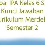 20 Soal Ujian BAB 5 IPAS Kelas 6 SD Semester 2 Kurikulum Merdeka dengan Jawaban