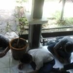 pelajar merokok diamankan pol pp.jpg