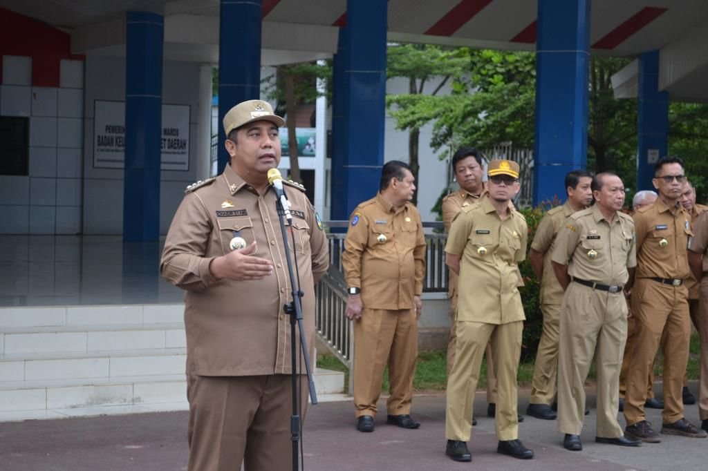 WhatsApp Image 2024 01 02 at 13.50.18.jpeg