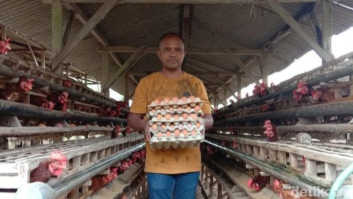Peternak Blitar Jual Telur Murah di Depan Kantor Bupati, Minta Batasan Budidaya