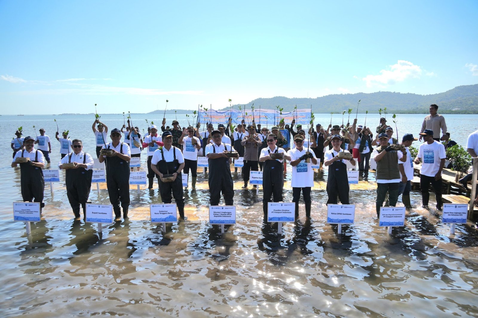 Freeport dan KLH Tanam 1,5 Juta Mangrove Perkuat Ketahanan Pesisir NTB