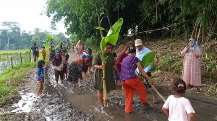 Gubernur Sulsel Buka Suara Soal Jalan Rusak yang Ditanami Pohon Pisang