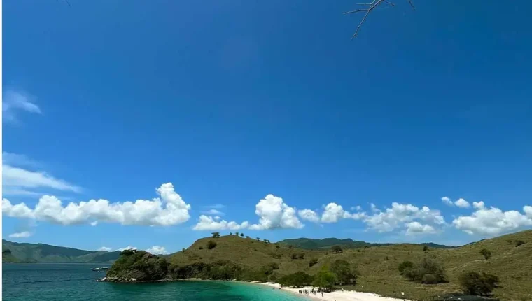 Komodo Island Tour, Cara Menikmati Keindahan Alam Labuan Bajo