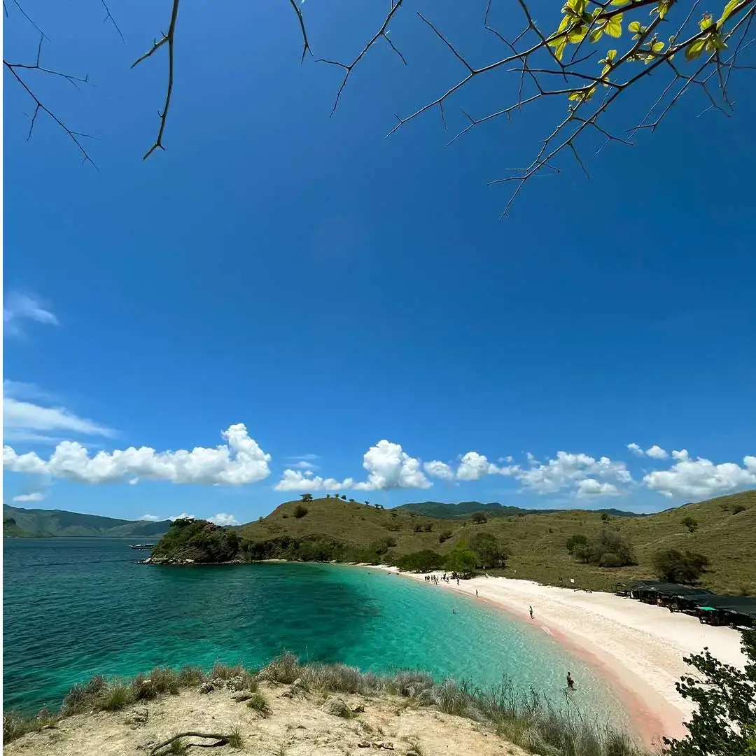 Komodo Island Tour, Cara Menikmati Keindahan Alam Labuan Bajo
